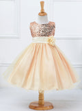 Children's Net Gauze Tutu Skirt for Festivals