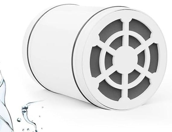6-inch Round Top Shower Head with Removable Chlorine Filter